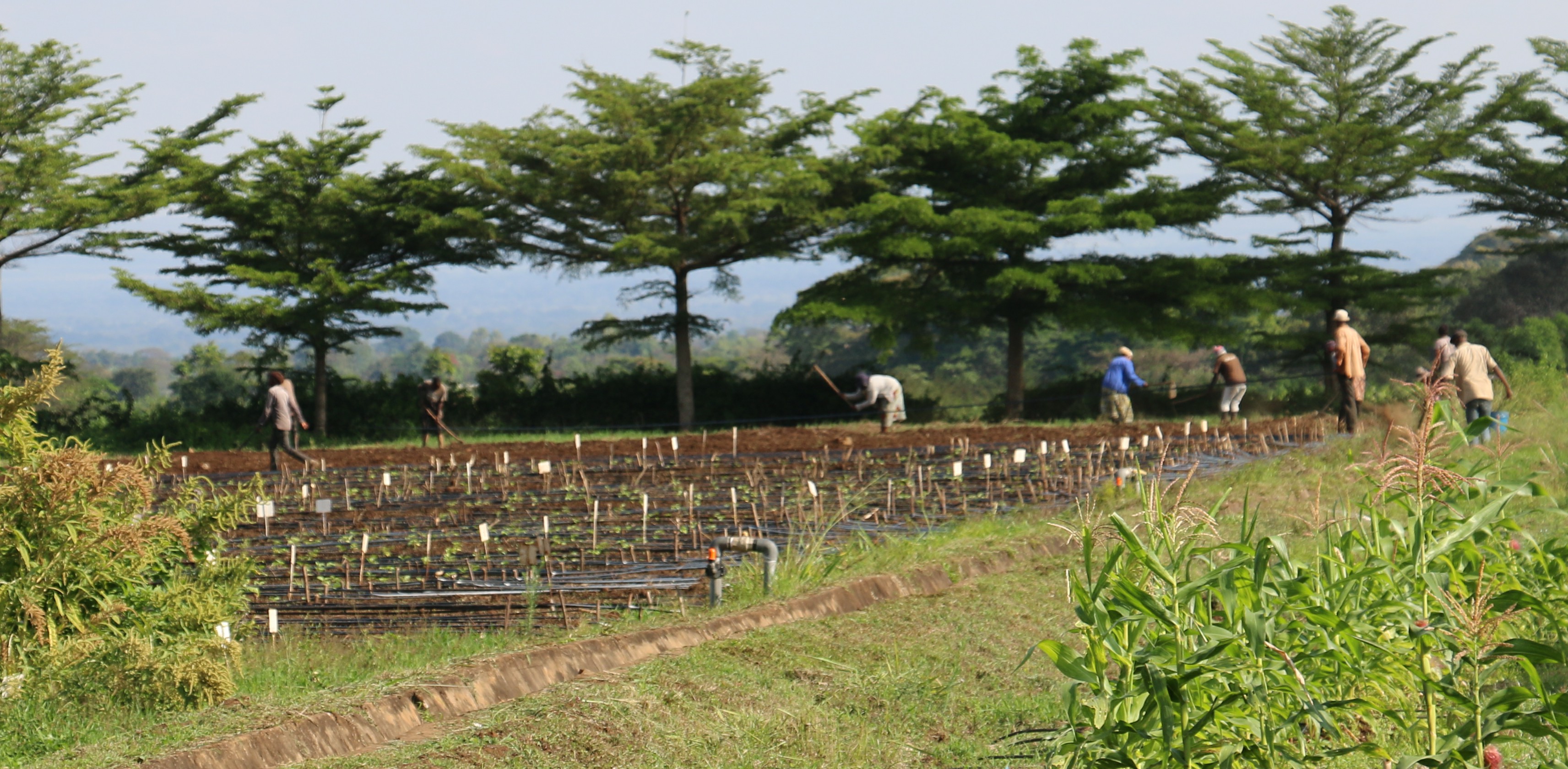 agri